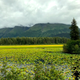 Illustration for article titled Alaskas Seward Highway Is The Most Beautiful Road In America